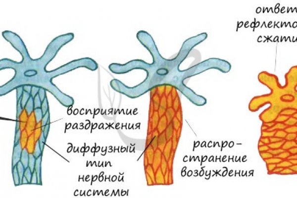 Забыл пароль от кракен