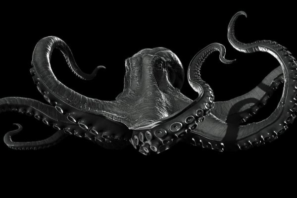 Кракен даркнет store kraken dark link