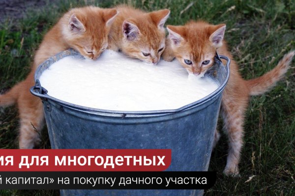 Настоящая ссылка на кракен