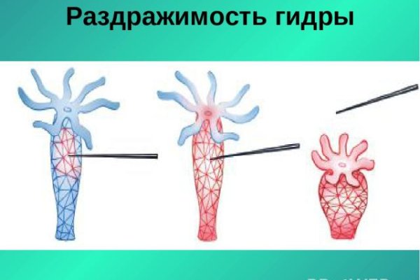 Kraken официальный сайт ссылка через tor